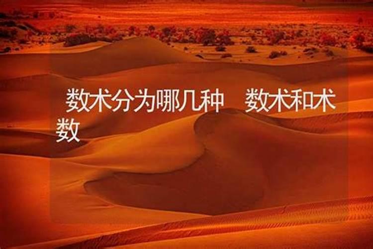 中国风水大师有哪些