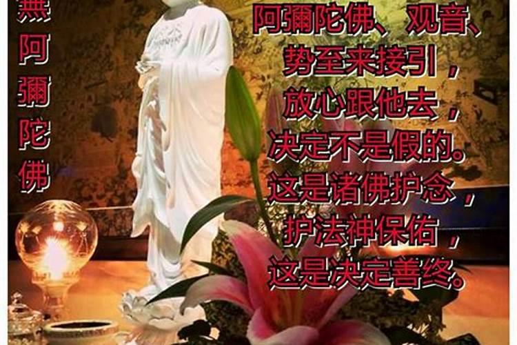 历史上两位泄露天机的人,袁天罡和刘伯温,他们的结局如何？