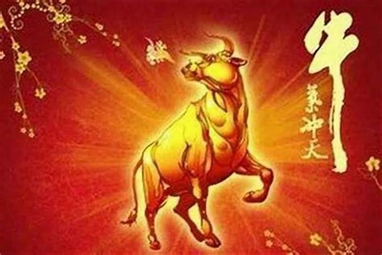 风水在什么时候最旺属牛