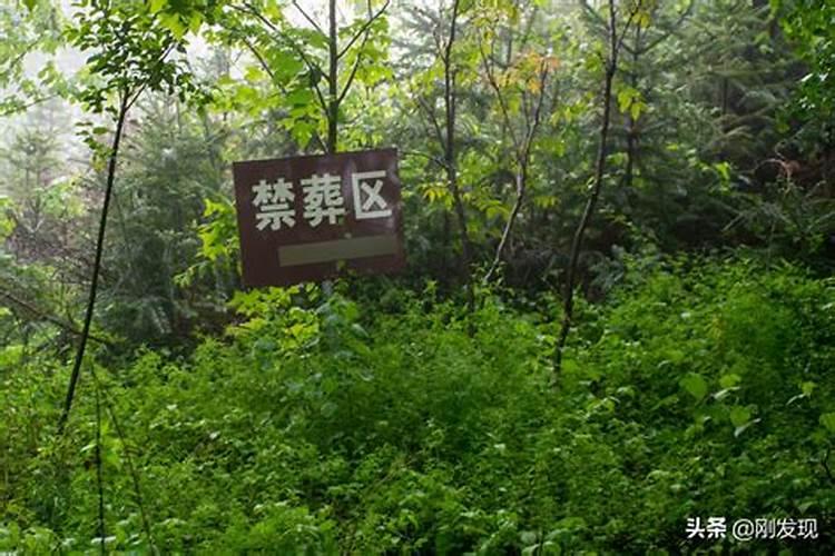 C字型坟地的风水好吗？场地不大(3米X3米左右)北边2米高处埋葬有同姓24...