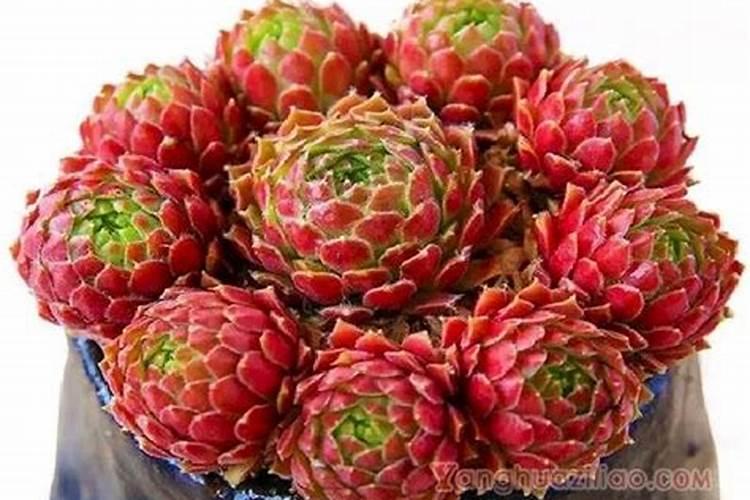 办公桌的摆放风水