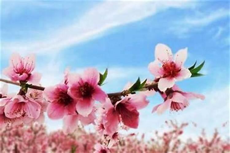 农村正房门前一个台阶应该多宽多高多长？
