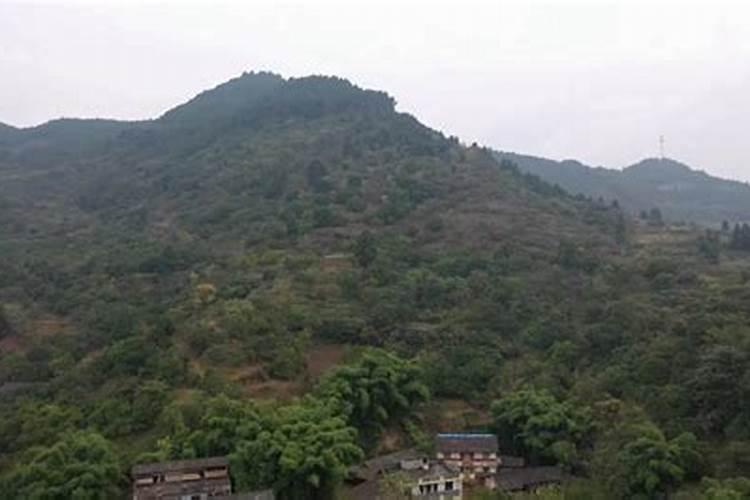 内江怎么样？经济,人文,地理,气候,风景,未来发展趋势……