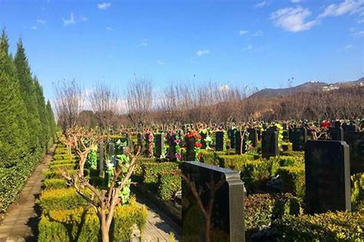 合肥大蜀山墓地风水好还是小蜀山好？