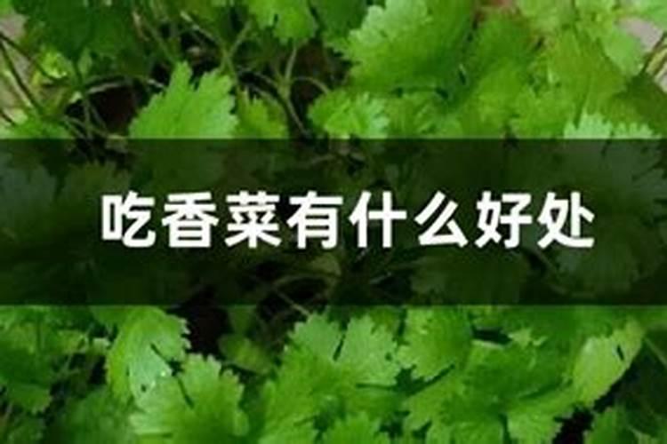阳台种菜好不好 阳台种菜风水讲究