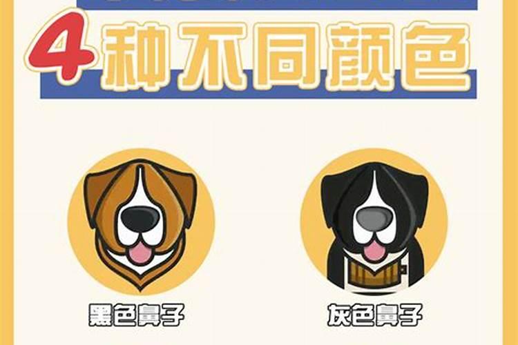 鼻子风水怎么看财运