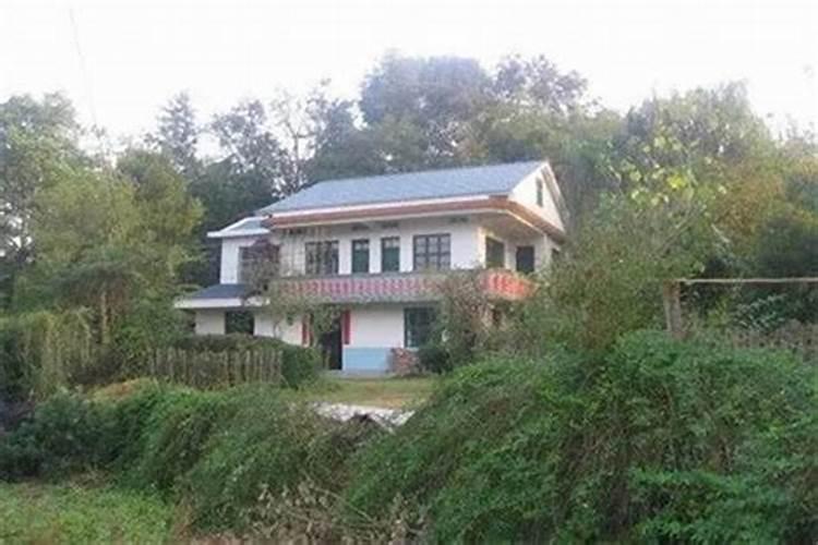 后山在屋后面很危险怎么办