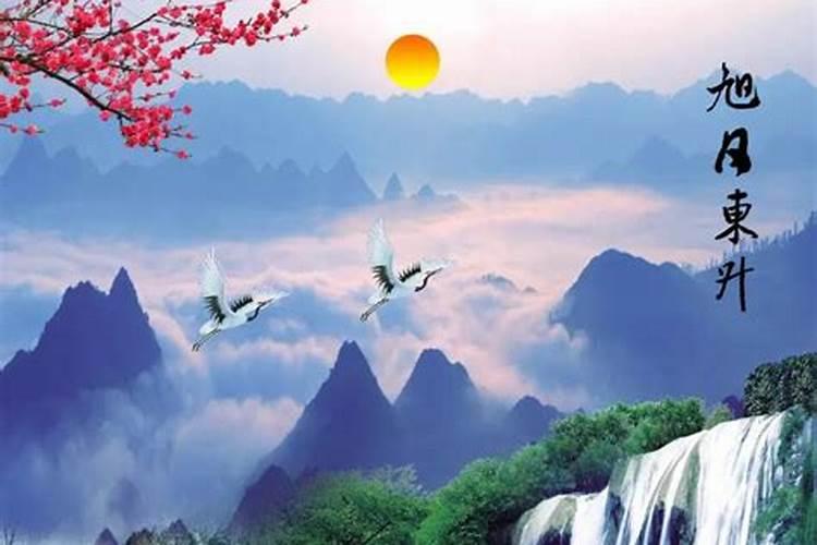 种什么花最好看最旺财运