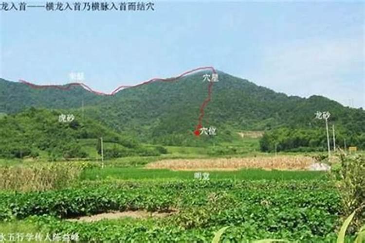 广东易经大师是谁