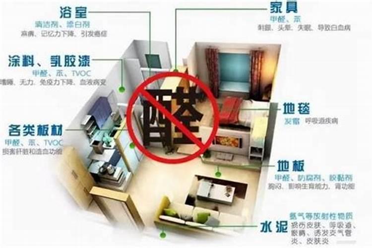 客厅适合摆放什么植物既符合风水又除甲醛