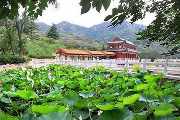 客厅放一个很长的桌子好吗 客厅摆放一张长方形桌子好吗