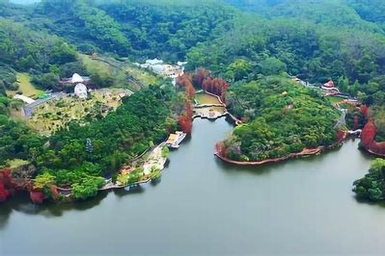 ...他是九华山佛教协会的,叫慧明,说是给人去看风水的