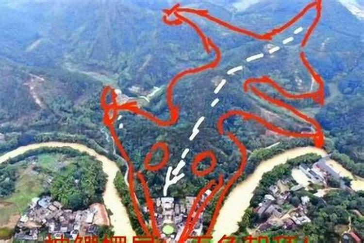 养鱼和风水