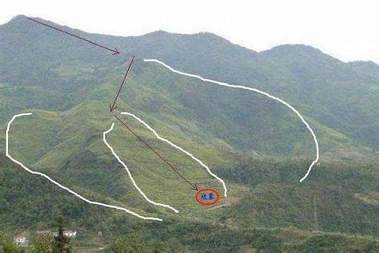 院子里安放石头有什么讲究？