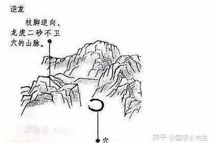 寻龙诀是什么意思