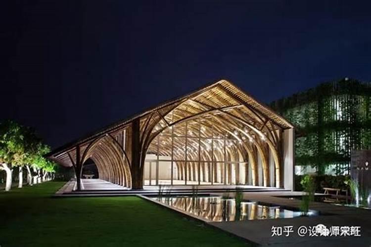 阳台种竹子好吗 阳台种竹子好不好