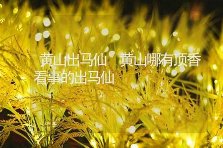 中国黄山龙裔公墓风水如何？