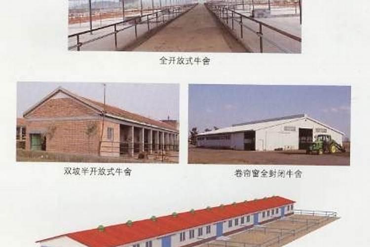 牛棚上面盖房子好吗？风水学上有讲究吗？