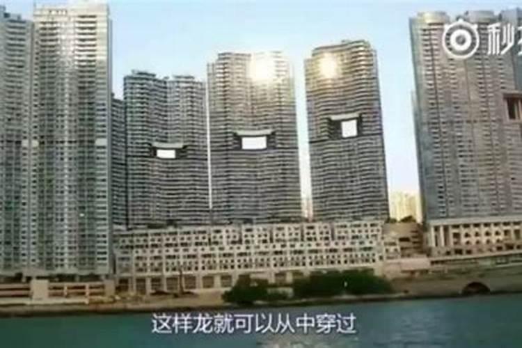 白龙王预言中国(香港娱乐圈风水大师白龙王秘闻)