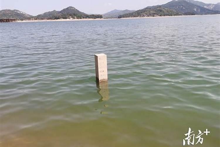 春景桃花对岸红,夏日荷花满池中,秋风丹桂霜千里,冬岭寒梅伴老松诗句的...