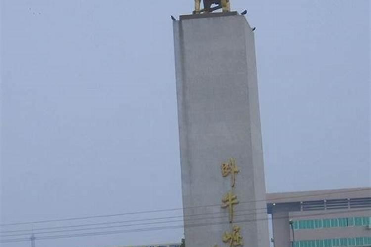 什么是玄空九星？