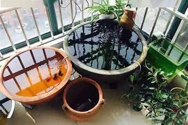 要在家里养鱼,放在哪一个方位比较好呢？