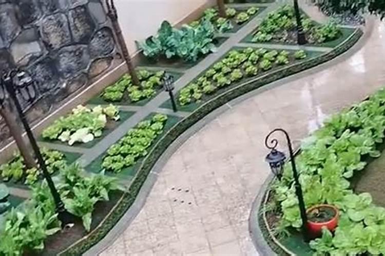 别墅院子里种菜风水上可以吗