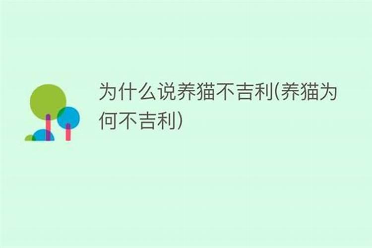 猫到底是招财还是来灾 风水学讲猫进家门财源滚滚