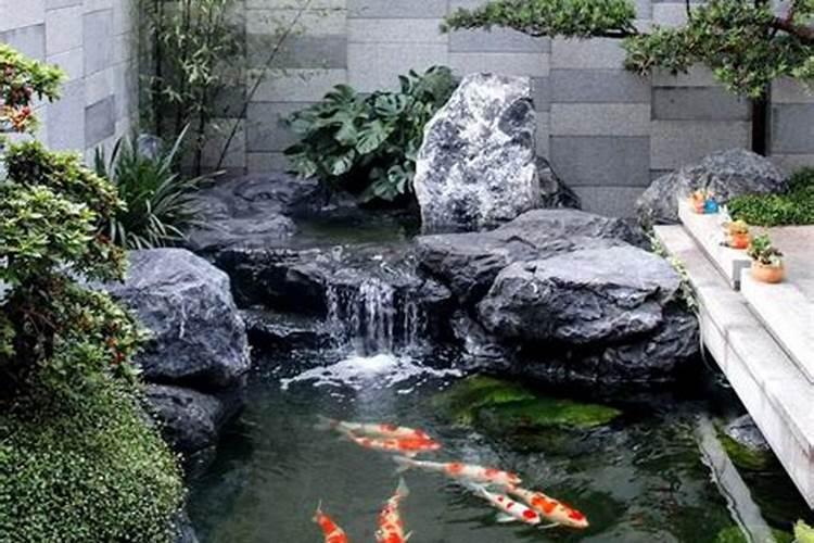 庭院鱼池的风水有什么讲究