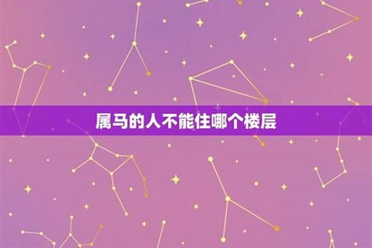 属马人一生财运怎么样