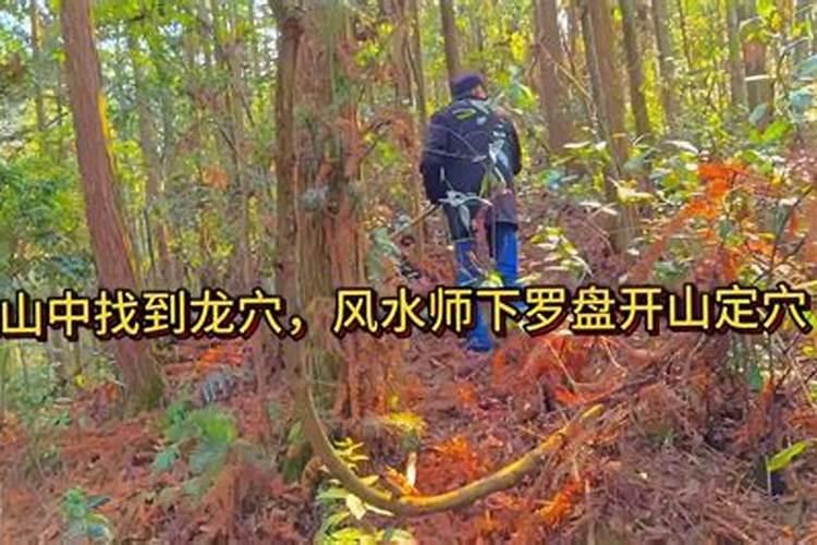两瓶装天地缘31度8年洞藏多少钱460升的
