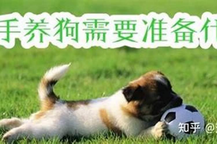 想养几条风水鱼或者发财树、平安树之类的花草,请师傅们给看看,谢谢...