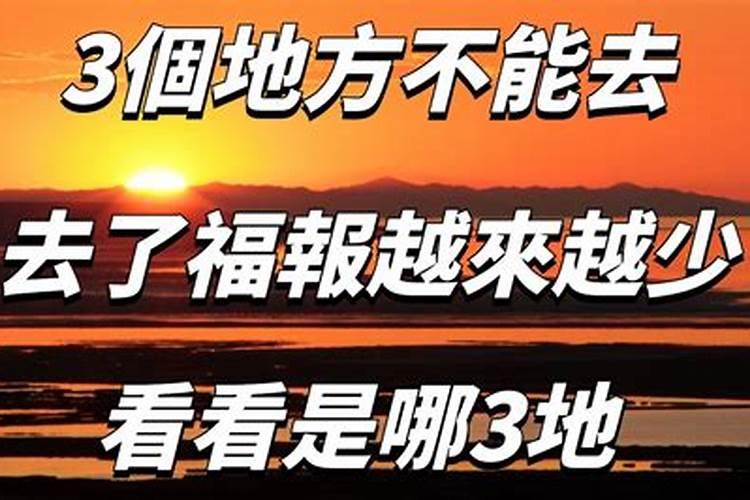 家里养仙人柱风水好吗