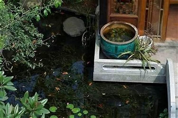 前后门用泡沫箱种菜好不好风水