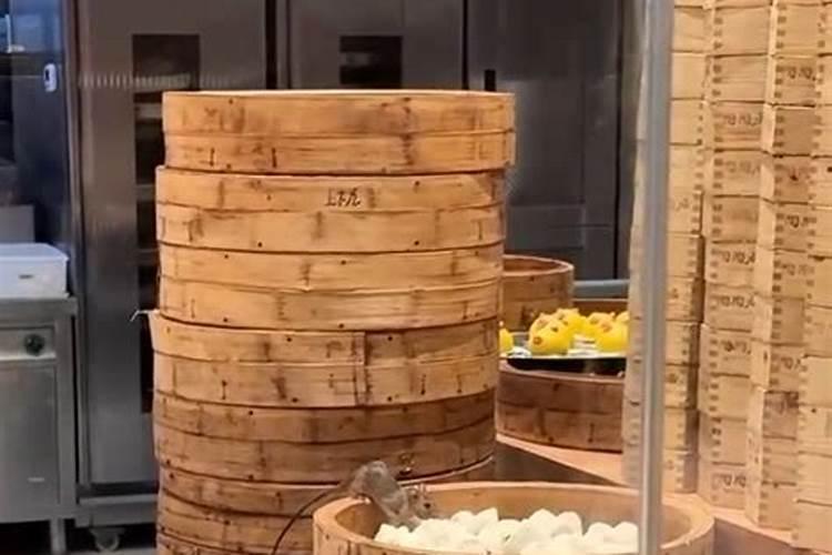 在风水上老鼠代表什么