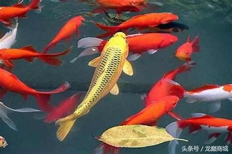 学易学玄学很危险吗,怎么总是有人说泄天机,遭天谴？