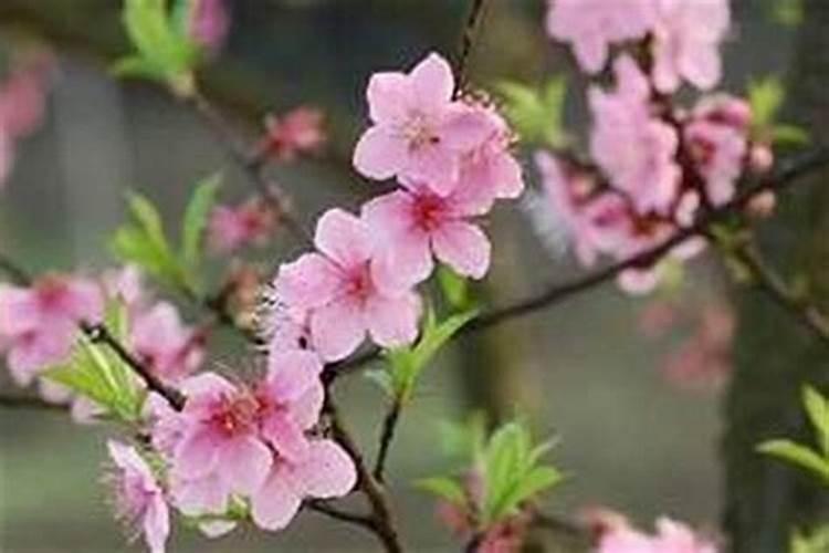 客厅窗帘什么颜色好 窗帘搭配风水学