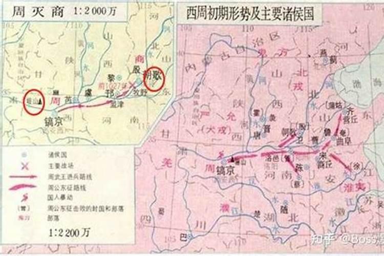 徐从桉是真的厉害吗