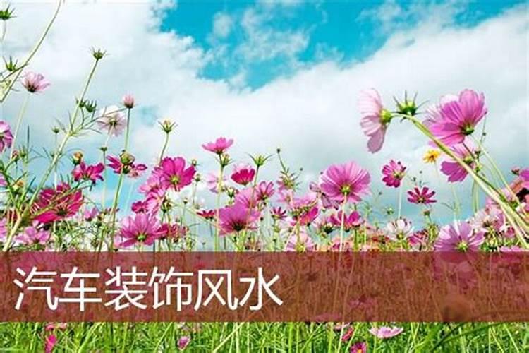 买车看哪些风水知识