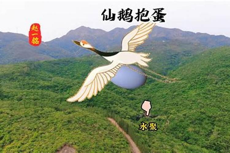 风水学中,摺睁木如何点穴？