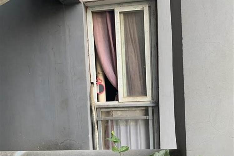 大门前挂什么画好
