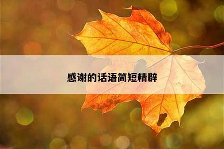 如何确定财位的准确位置 记住这一招以后你也是风水师？