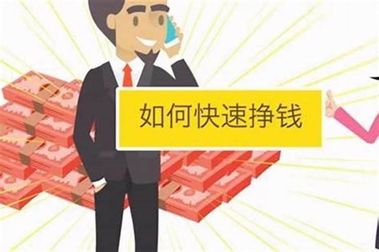 办公室的龙放什么好