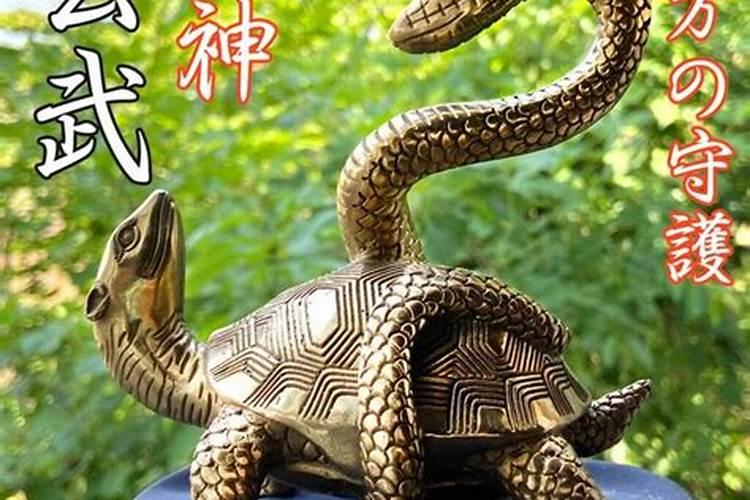 家居风水禁忌14条必看