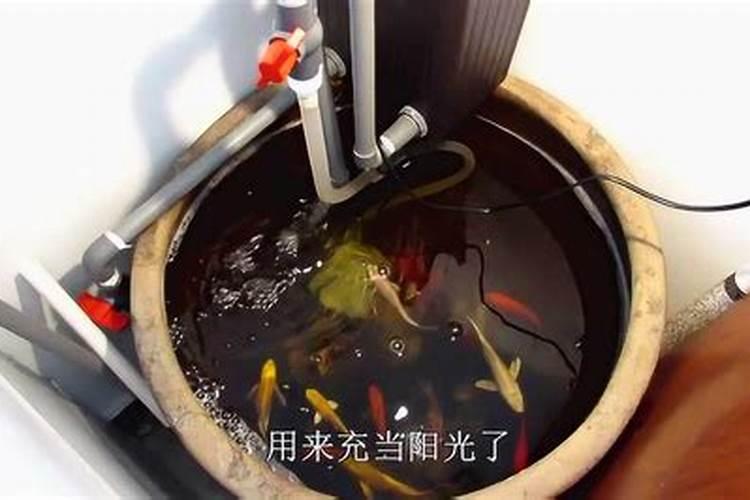 搬家腌菜缸能留下吗有讲究吗