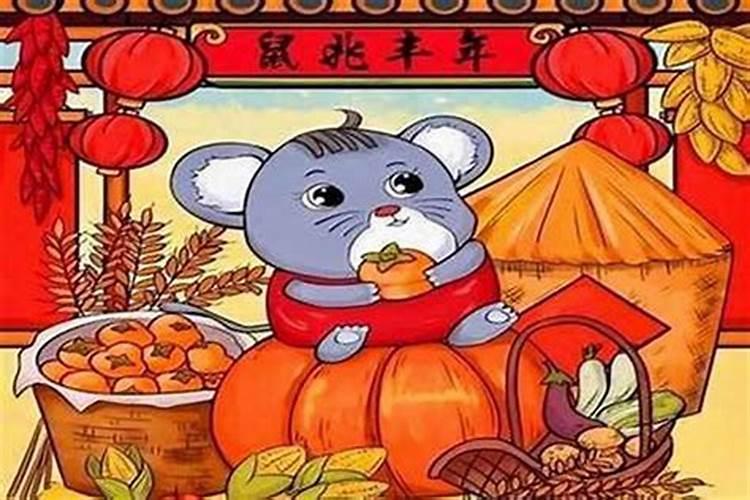 属鼠家中摆什么最旺财