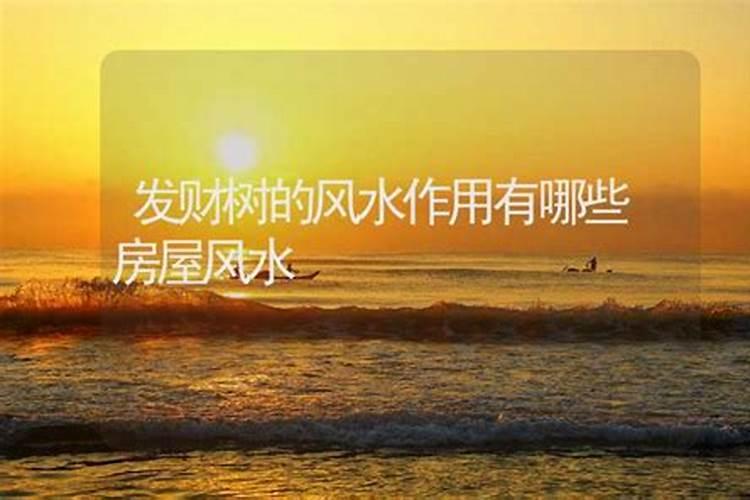 阳宅风水起什么作用阴阳两宅作用有什么区别？