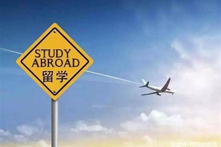狗年居家风水如何摆设可以增事业运？？