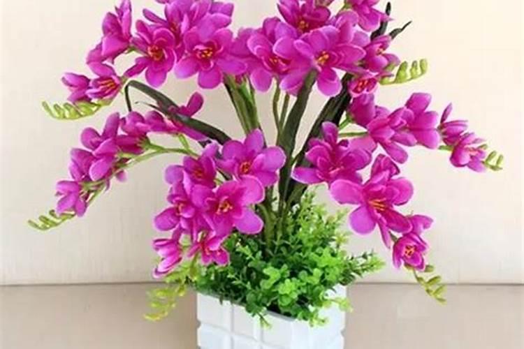 家里放假桃花有什么风水讲究 假桃花会招假风水？