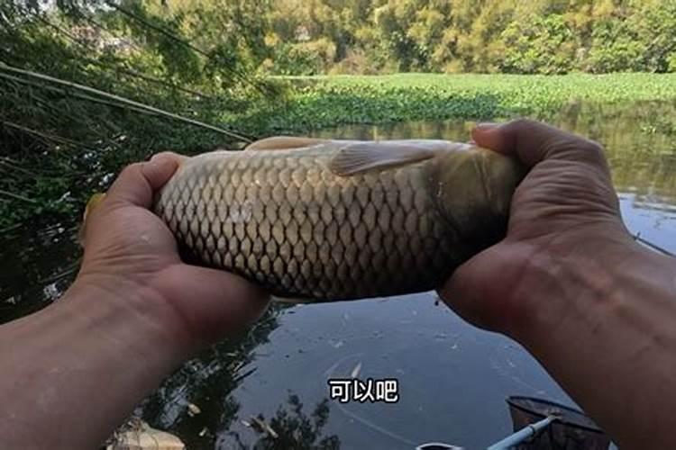 风水是中国道教文化吗？